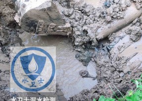 蔡甸区水管漏水检测公司5